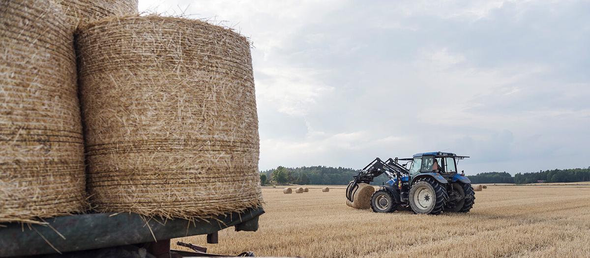 Avanza lanserar gårdslån tillsammans med Landshypotek