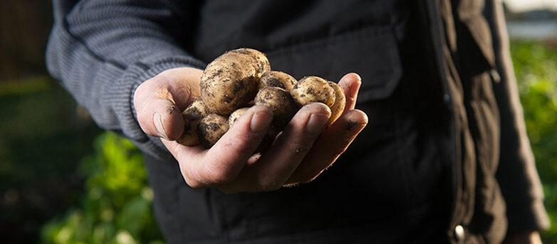 Landshypotek sänker samtliga bundna bolåneräntor