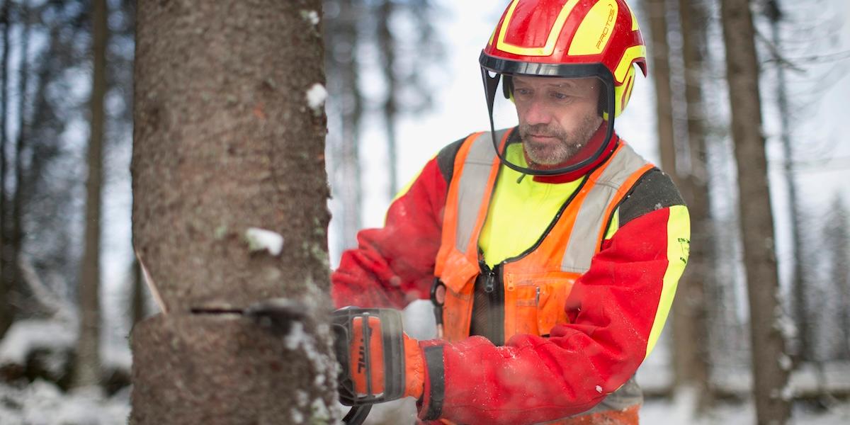 skogsägare