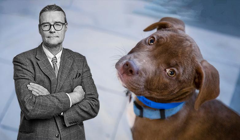 Per Lindvall, Realtid