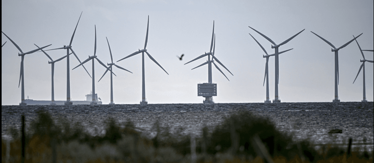 Ørsted vill bygga sex havsvindparker i Sverige