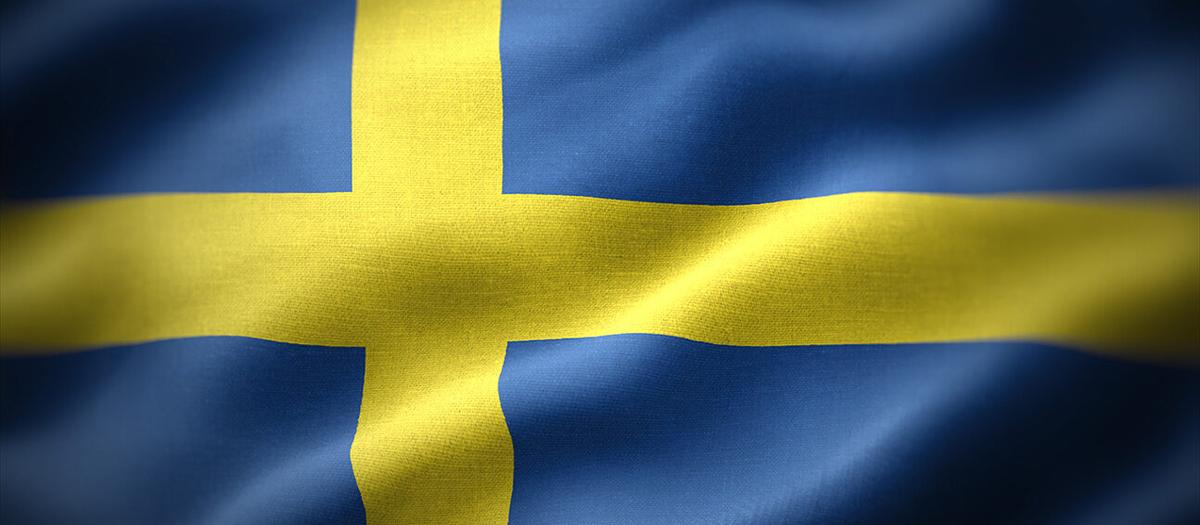 Danske Bank sänker tillväxtförväntningarna för svensk ekonomi