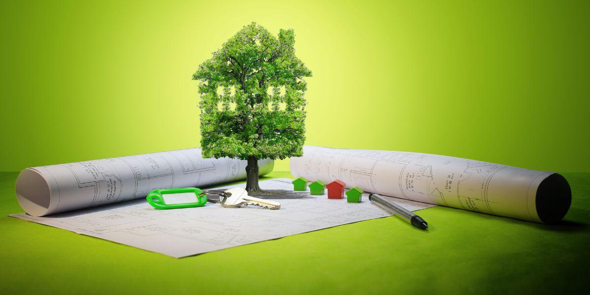 fastighetsbranschens