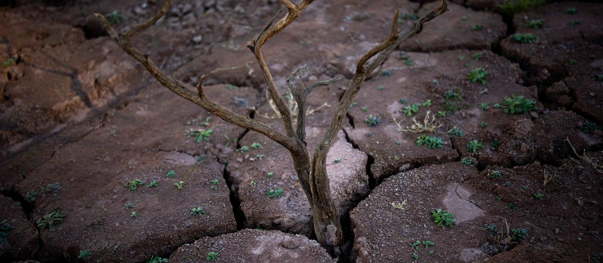 Vatten – vår tids största utmaning?